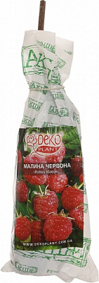 Саджанець Dekoplant Малина червона пакет