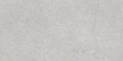 Плитка Emigres VARSOVIA XL GRIS 60×120