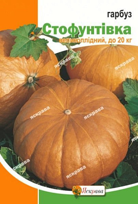 Семена Яскрава тыква Стофунтовка пакет гигант 20г (4823069861469)