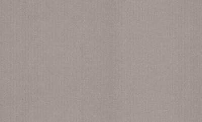 Шпалери вінілові на флізеліновій основі Status 402ST06 1,06x10,05 м