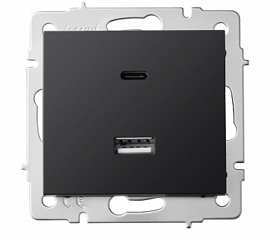 Механізм розетки USB + Type C Lezard Rain антрацит 703-4288-192TC