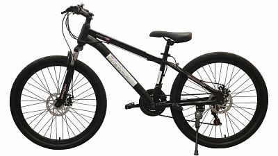 Велосипед детский MaxxPro kids 24