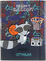 Папка-короб на резинці Raccoon А4 40 мм