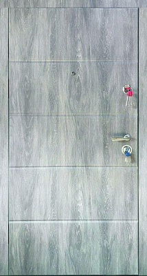 Дверь входная Мавіс дуб шале графит 2030x960мм правая