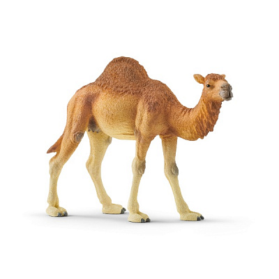 Фігурка Schleich Дромедар арт.14832 6688217