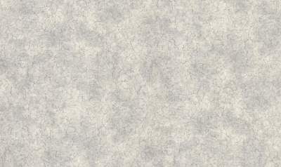 Шпалери вінілові на флізеліновій основі DINASTIA 884DN17 1,06x10,05 м