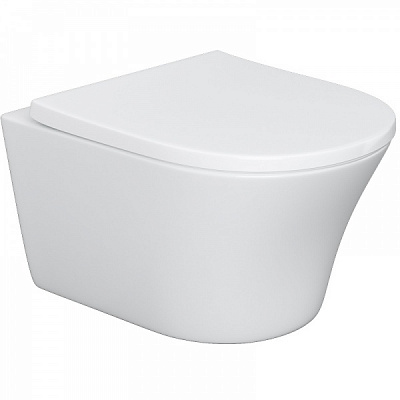 Унітаз підвісний AM.PM C45A1700SC Tender безобідковий з сидінням мікроліфт