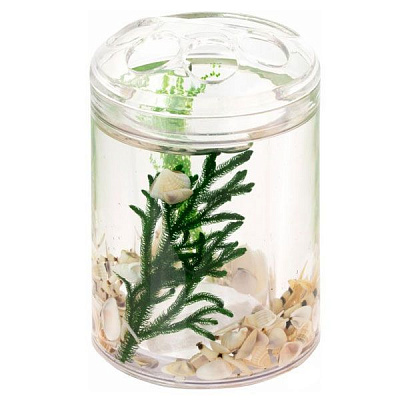 Тримач для зубних щіток Luna HB72 S8