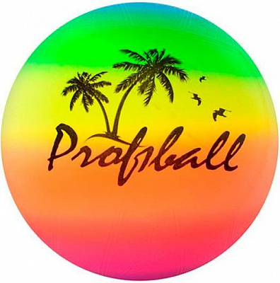 Мяч Profi MS 0008
