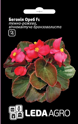Семена LedaAgro бегония Ореб F1 10 шт. (4820119791486)