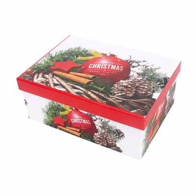 Коробка подарункова прямокутна 27х20х11,5 см 1110210705