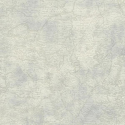 As Creation Dekora Natur 6 95896-1 0.53x10.05 м