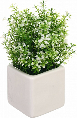 Растение искусственное каланхое в керамическом горшке белый