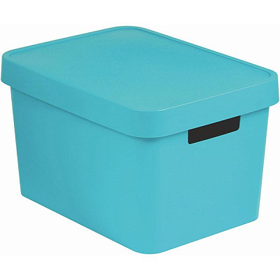 Коробка пластиковая с крышкой Infinity 229242 бирюзовая 17 л