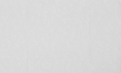 Шпалери вінілові на флізеліновій основі Bravo 86066BR90 1,06x10,05 м