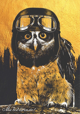 Постер Сова золота Posterclub