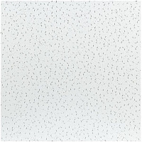 Плита підвісної стелі AMF Ecomin Trento board KCS 600х600х13 мм 