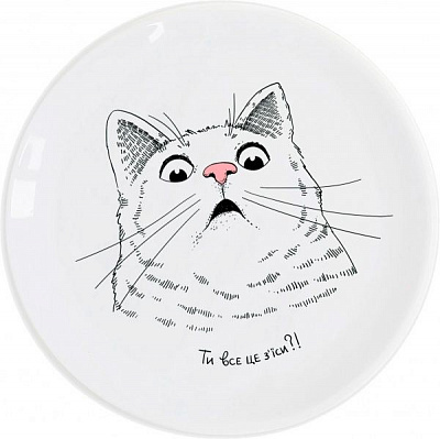 Тарілка мілка Здивований кіт 25 см Orner