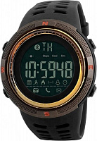 Наручний годинник Skmei 1250 brown/gold (1250BOXGD)
