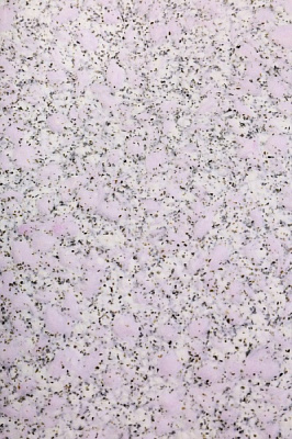 Рідкі шпалери Bioplast 1037 1 кг