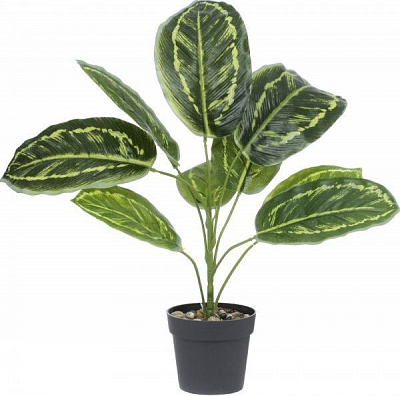 Рослина штучна Аспідістра темно-зелена PFC(NL)-1053A