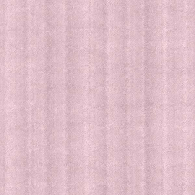 Rasch Fresh Up 496451 0.53x10.05 м