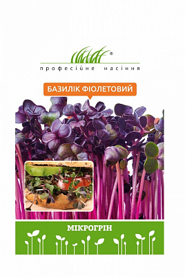 Семена Професійне насіння базилик базилика фиолетового 10 г (4820176697813)