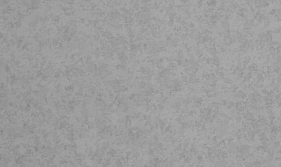 Шпалери вінілові на флізеліновій основі WallCOLOR W 158 C 19 1,06x10,05 м