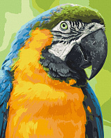 Картина по номерам Попугай Ара 11643-АС 40х50 см ArtCraft 