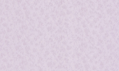 Шпалери вінілові на флізеліновій основі MEGAPOLIS 9056-15 1,06x10,05 м