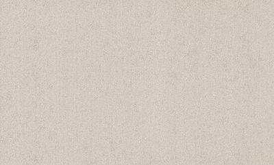 Обои виниловые на флизелиновой основе Bravo SIMPLE 516SP16 1,06x10,05 м