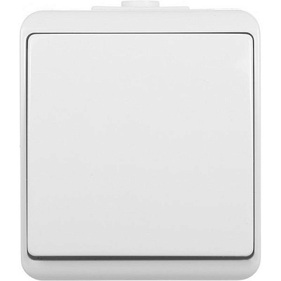 Выключатель одноклавишный HausMark Power без подсветки 10 А 250В белый HSN-SWP.H2C44G1W1-WH