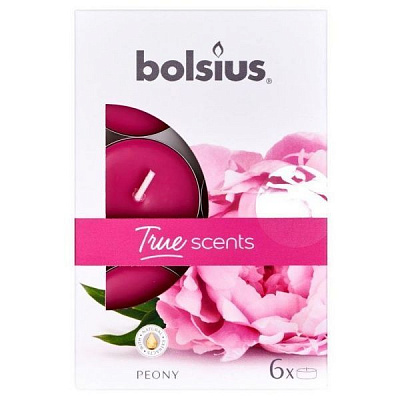 Набор свечей 4:00 Пион 6 шт. / уп Bolsius