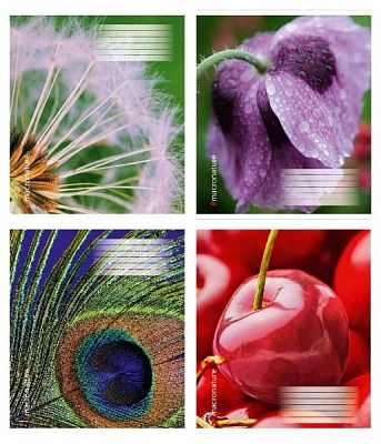 Комплект тетрадей 24 листа в клетку Макро Полиграфист