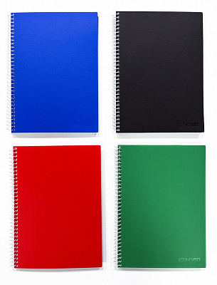 Блокнот Economix А4 80 лист. клетка ассорти E20309