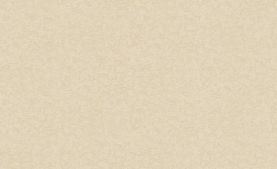 Шпалери зі спіненого вінілу Bravo 86018BR91 1,06x10,05 м