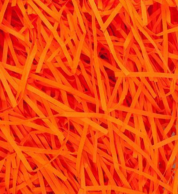 Наполнитель бумажный Бумагия Экофиллер 50 г апельсиновый