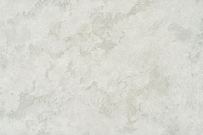 Обои виниловые на флизелиновой основе Славянские обои Elegance collection Ива 2 2412-04 1,06x10,05 м