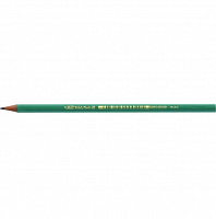 Олівець чорнографітний Evolution 880311 BIC