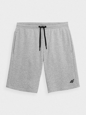 Шорти 4F 4FSS23TSHOM156-27M р. 2XL сірий