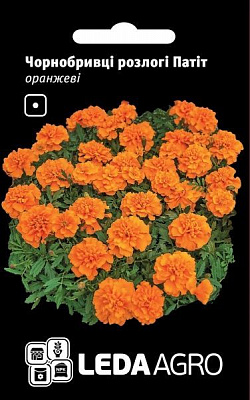 Семена LedaAgro бархатцы раскидистые Патит оранжевые 0,25 г (4820119793800)