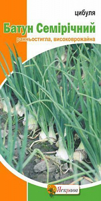 Насіння цибуля ріпчаста Батун Семирічний 1г