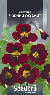 Насіння красоля Чорний оксамит 1 г (4823073723944)
