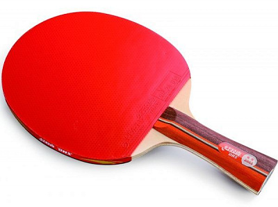 Ракетка для настольного тенниса DHS 2002 
