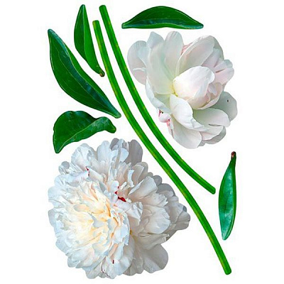 Декоративная наклейка Пионы