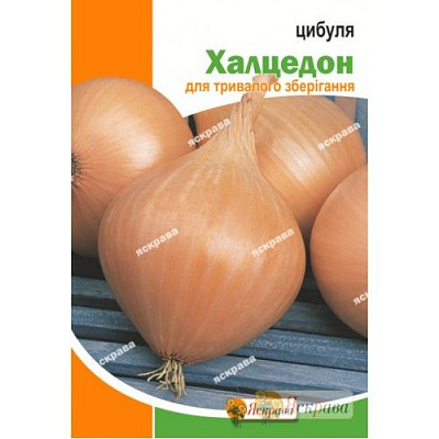 Насіння Яскрава цибуля Халцедон 5г (4823069912369)