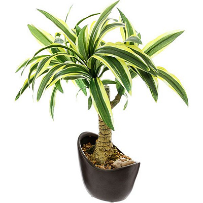 Штучна рослина Драцена 37 см