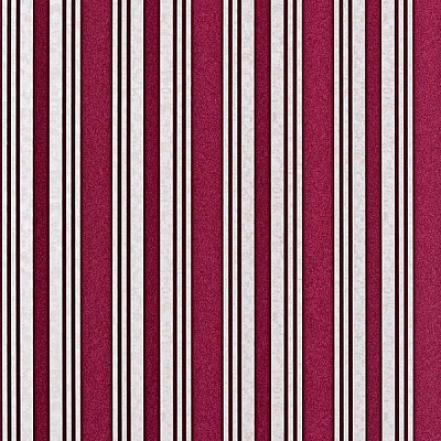 Едем Статус 999-35 1.06х10.05 м