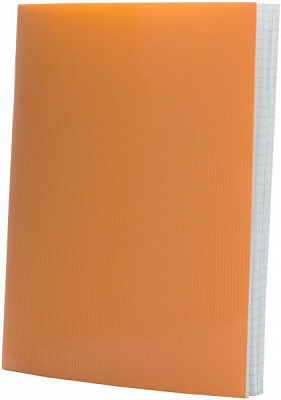 Тетрадь школьная 48 листов в клетку 5В048К-П01 Графика