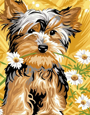 Картина по номерам Йоркшир-терьер bk_1281 40x50 см BookOpt 